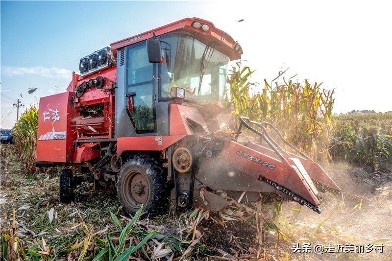 Super-high production methods for maize