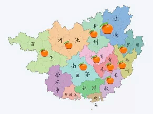 沙糖桔的种植技术