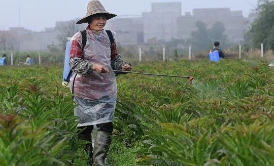 人尿发酵方法