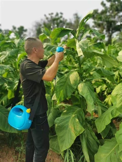 人尿发酵方法