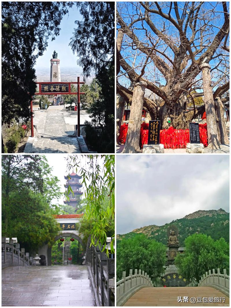 日照seo