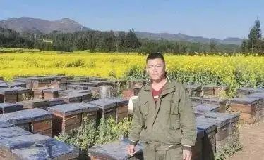 蜜蜂养殖利润成本