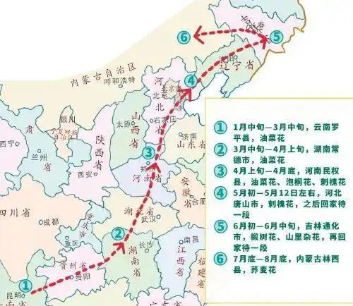 蜜蜂养殖利润成本