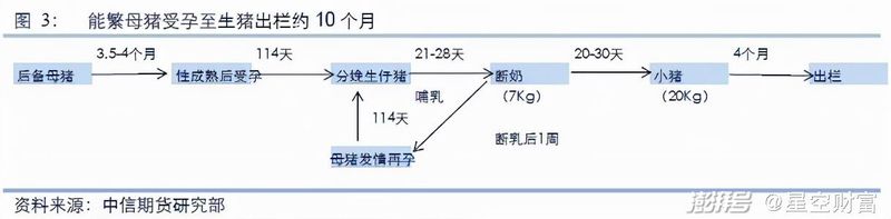 聊聊养猪大户牧原股份