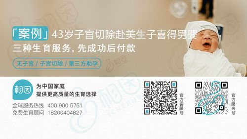 人工授精术费用