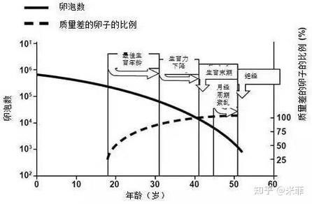 人工授精术费用