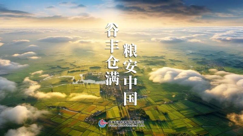 香蕉种植技术视频