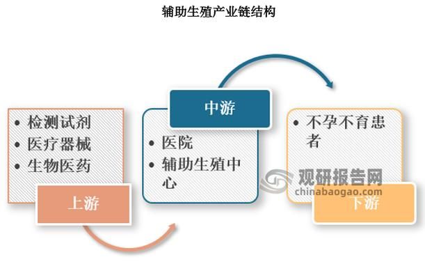 人工授精术费用
