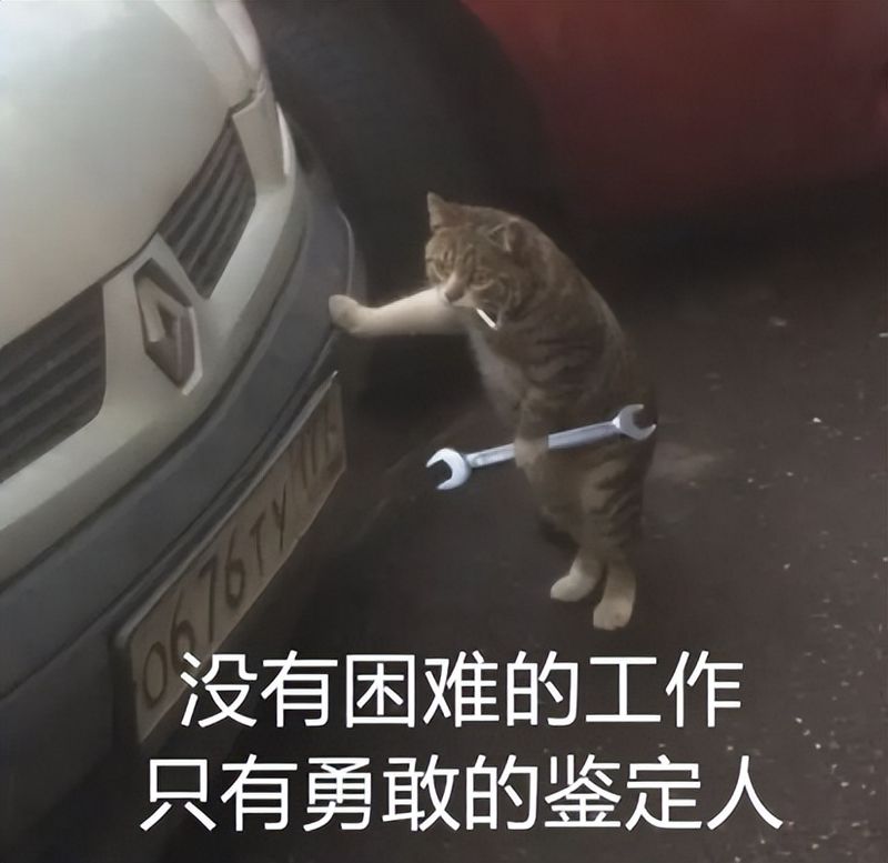 宝马多少钱