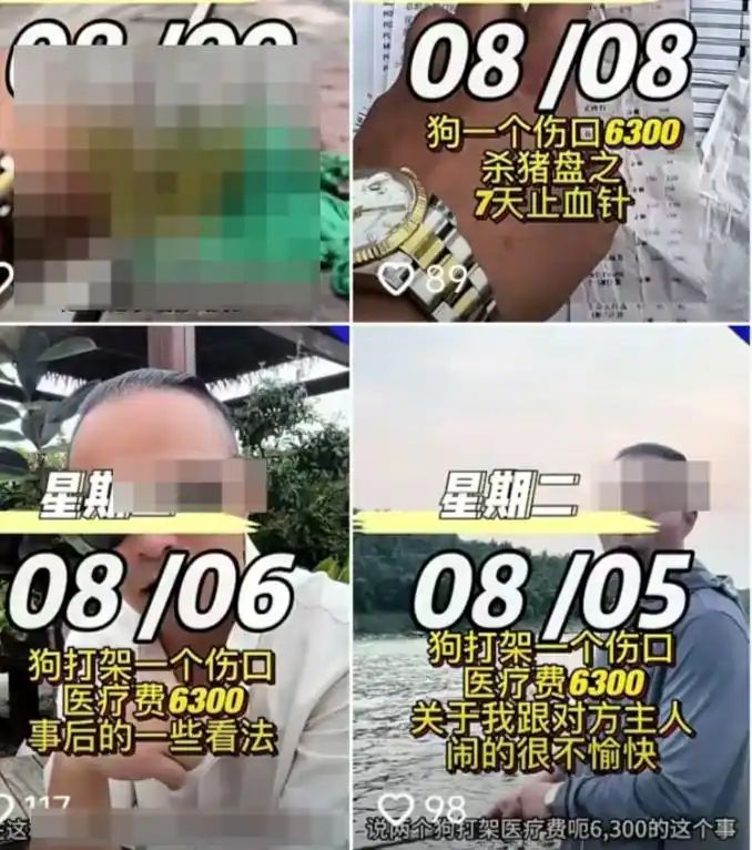 狗狗拍片子多少钱