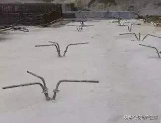 花架植物种植施工图