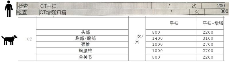 狗狗拍片子多少钱
