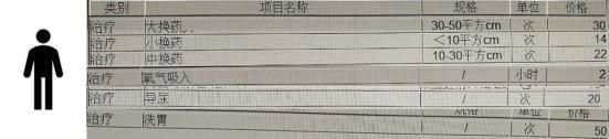 狗狗拍片子多少钱