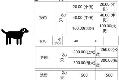 狗狗拍片子多少钱