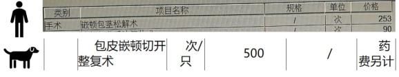 狗狗拍片子多少钱