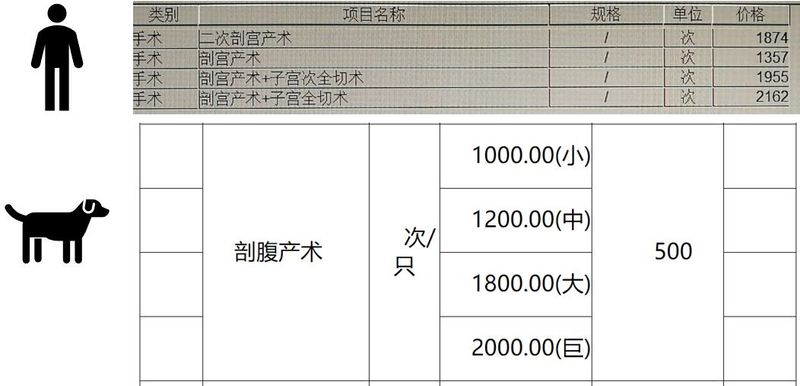 狗狗拍片子多少钱