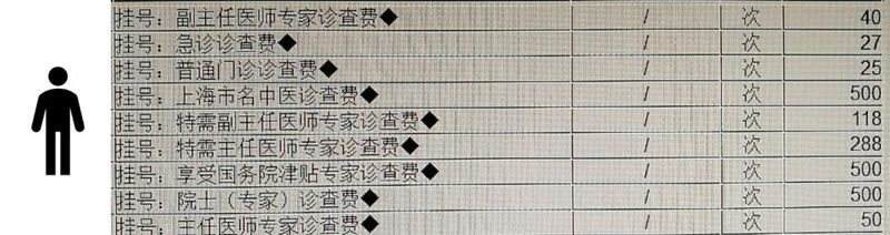 狗狗拍片子多少钱