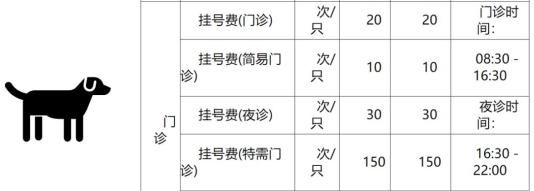 狗狗拍片子多少钱