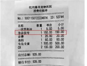 狗狗拍片子多少钱