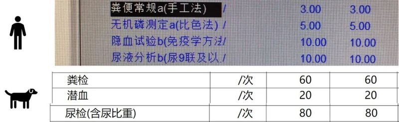 狗狗拍片子多少钱