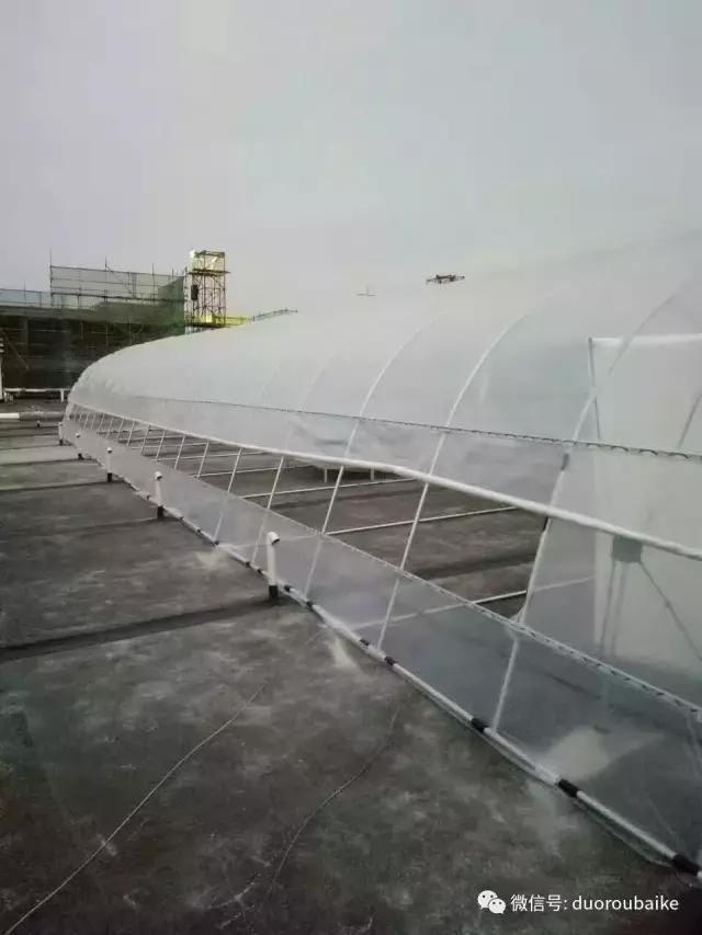 花架植物种植施工图