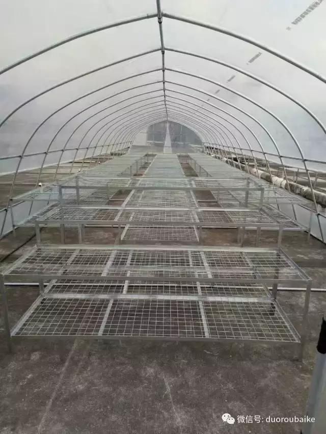 花架植物种植施工图