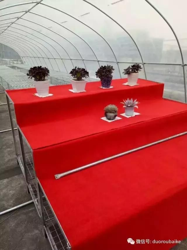 花架植物种植施工图