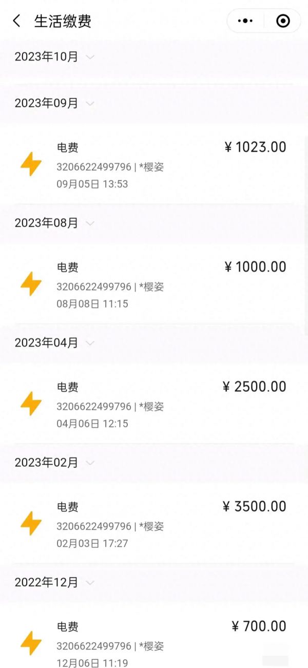 智能电表偷电方法