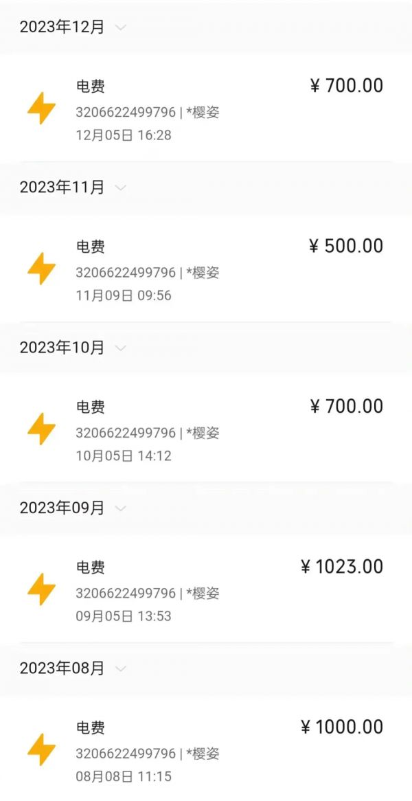 智能电表偷电方法