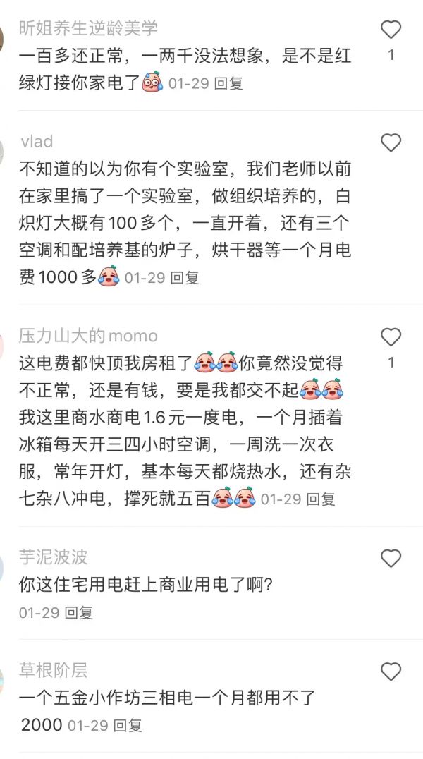 智能电表偷电方法