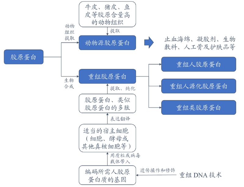胶原蛋白注射隆鼻多少钱