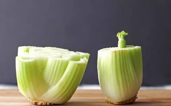 菠萝蜜盆栽种植方法如下