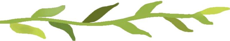 林州seo