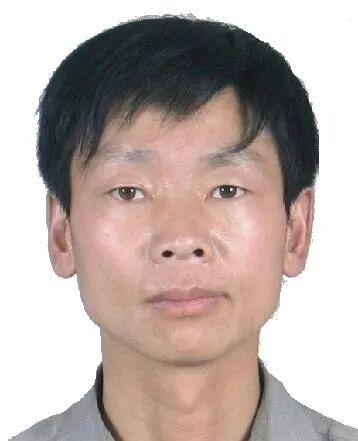 林州seo