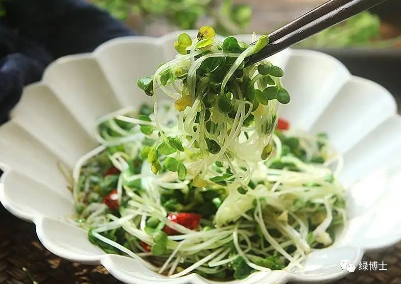 香菜种植时间和方法