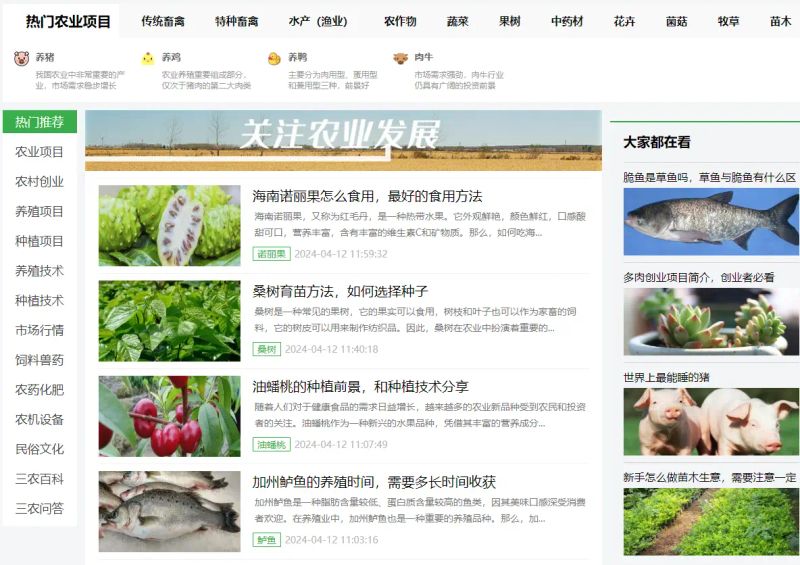 威远县锅炉早子姜种植技术要点