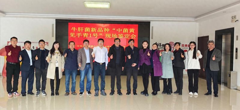云南上大招！全国首个人工培育见手青出菌，“见手青”自由指日可待