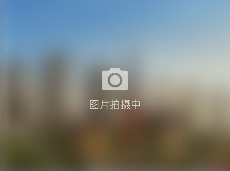天津竞拍历次均价 最高最低价