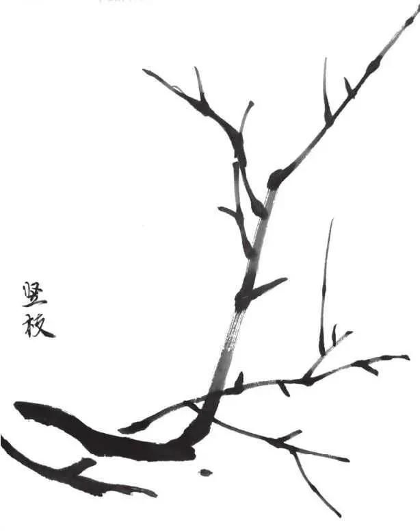 扇子的画法步骤图