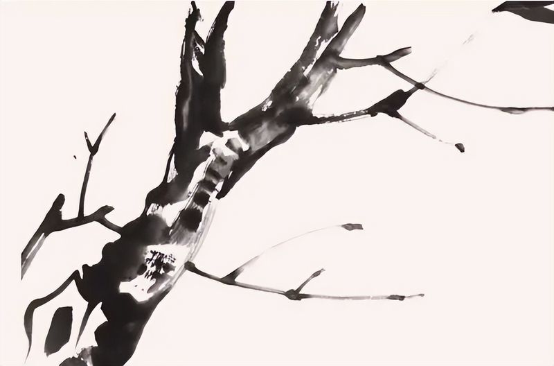 扇子的画法步骤图