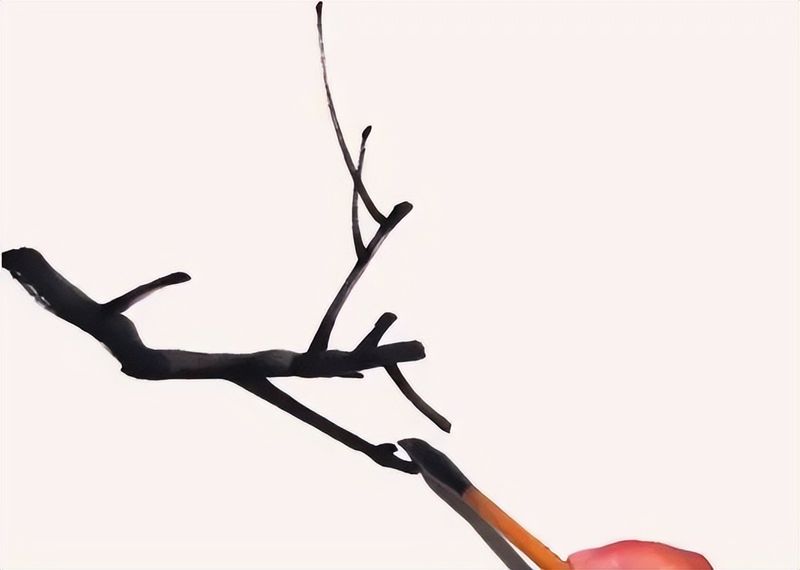 扇子的画法步骤图