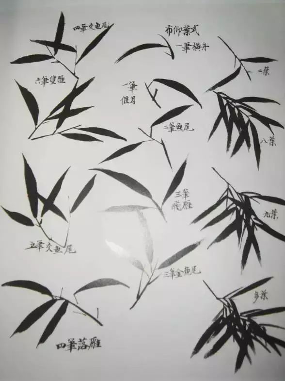 扇子的画法步骤图