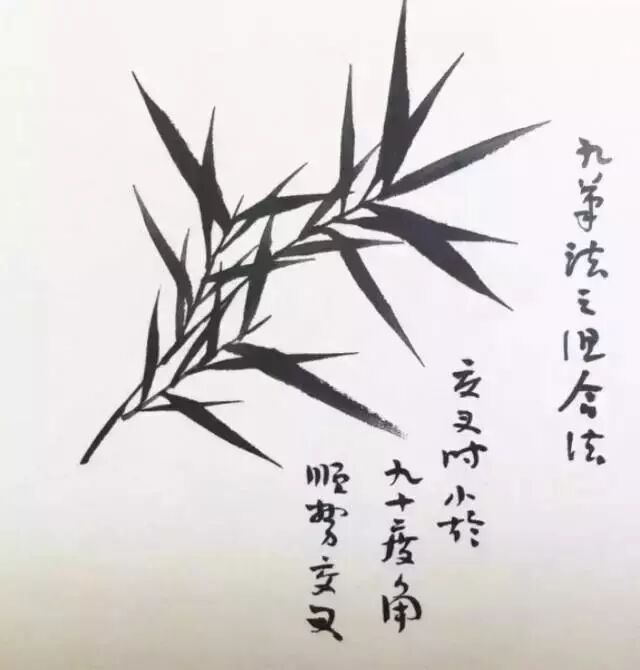 扇子的画法步骤图