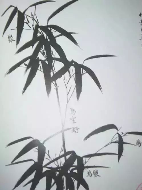 扇子的画法步骤图