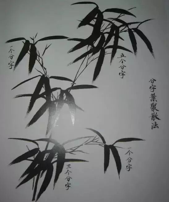 扇子的画法步骤图