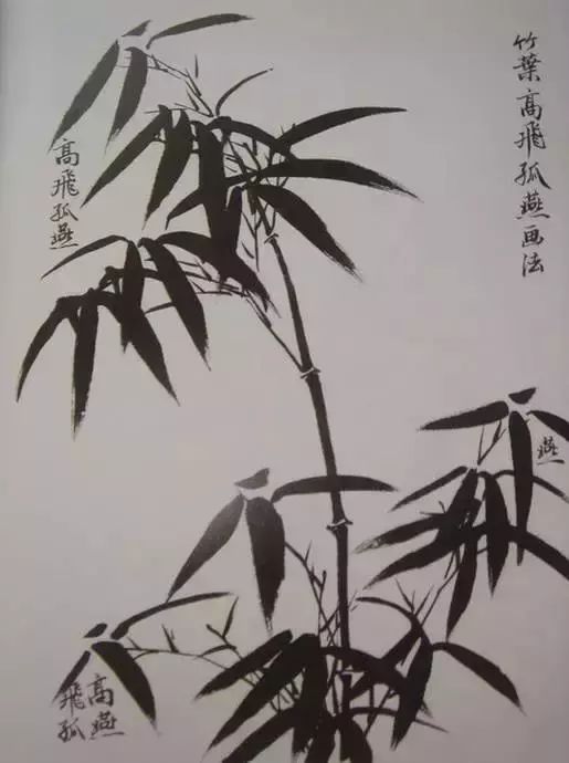 扇子的画法步骤图