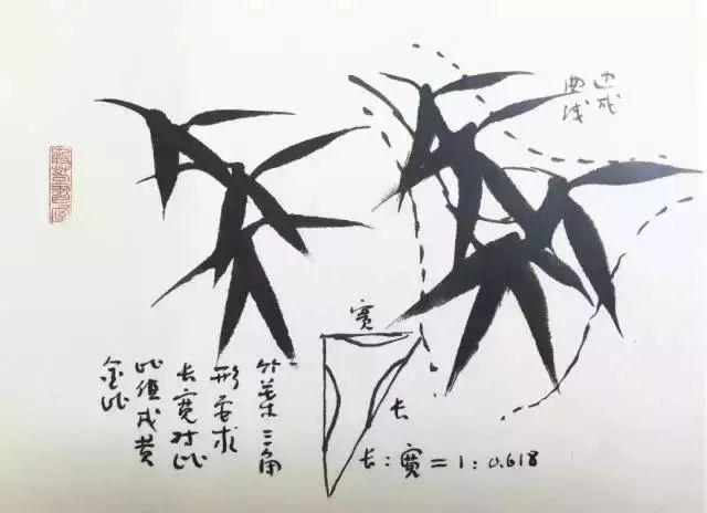 扇子的画法步骤图