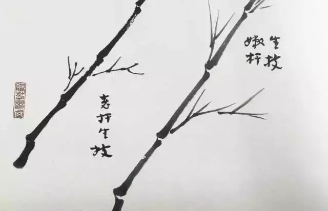 扇子的画法步骤图