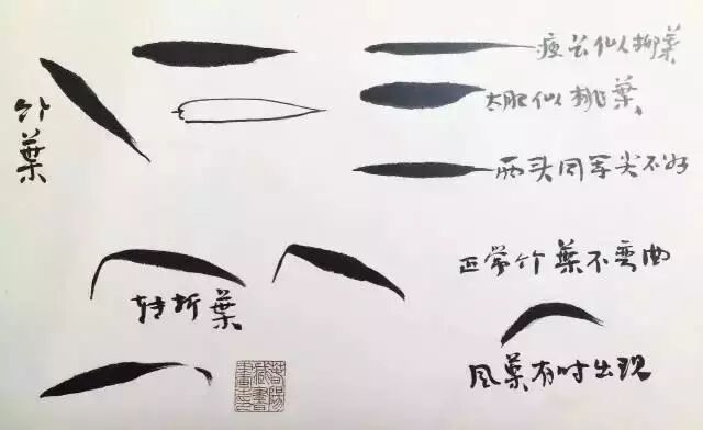 扇子的画法步骤图