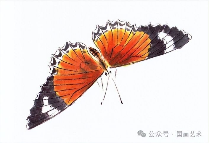 扇子的画法步骤图